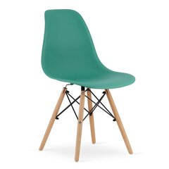 2 tuolin setti Osaka, vihreä/ruskea hinta ja tiedot | Ruokapöydän tuolit | hobbyhall.fi