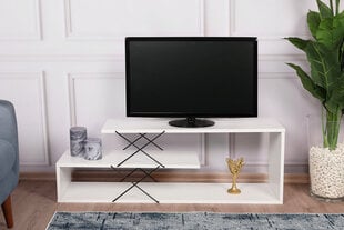TV-teline Asir, 120x40x30cm, valkoinen hinta ja tiedot | TV-tasot | hobbyhall.fi
