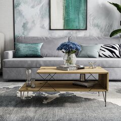 Sohvapöytä Asir, 100x40x50cm, beige hinta ja tiedot | Sohvapöydät | hobbyhall.fi