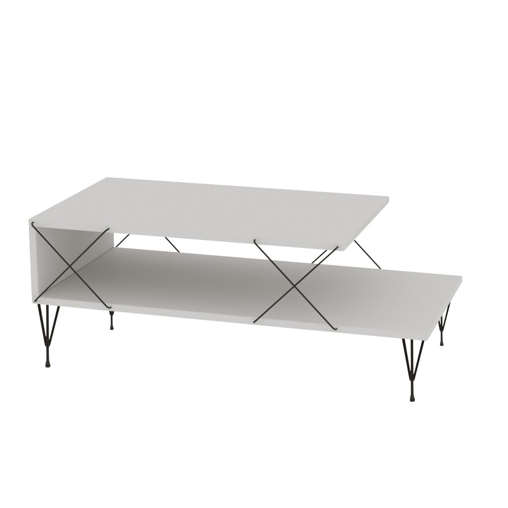 Sohvapöytä Asir, 100x40x50cm, valkoinen ja musta hinta ja tiedot | Sohvapöydät | hobbyhall.fi