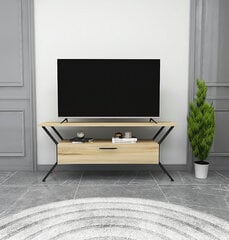 TV-teline Asir, 124x54x35cm, beige hinta ja tiedot | TV-tasot | hobbyhall.fi