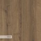 Kaappi Asir, 105x118,5x26cm, beige hinta ja tiedot | Kenkäkaapit ja -hyllyt | hobbyhall.fi
