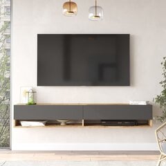 TV-taso Asir, 180x29,1x31,6cm, harmaa hinta ja tiedot | TV-tasot | hobbyhall.fi