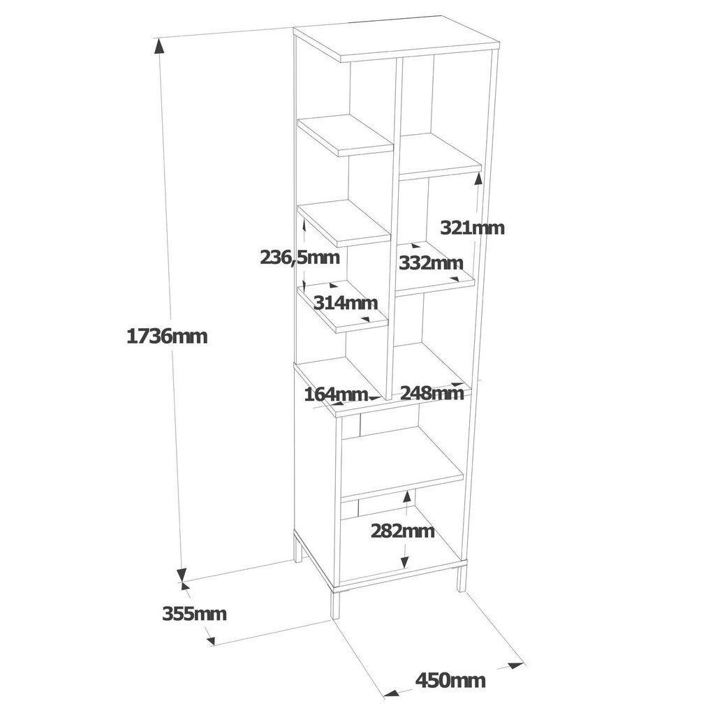 Kaappi Asir, 45x173,6x35,5cm, valkoinen/beige hinta ja tiedot | Kylpyhuonekaapit | hobbyhall.fi