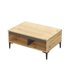 Sohvapöytä Asir, 90x40,6x60cm, beige ja harmaa hinta ja tiedot | Sohvapöydät | hobbyhall.fi