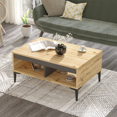 Sohvapöytä Asir, 90x40,6x60cm, beige ja harmaa hinta ja tiedot | Sohvapöydät | hobbyhall.fi