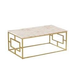 Sohvapöytä Asir, 100x40x60cm, valkoinen ja kullanvärinen hinta ja tiedot | Sohvapöydät | hobbyhall.fi