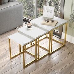 Sohvapöytä Asir, 40x41,8x40cm, valkoinen/kultainen hinta ja tiedot | Sohvapöydät | hobbyhall.fi