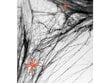 Hämähäkinverkko Halloween, musta, 1 kpl / 60 g. hinta ja tiedot | Juhlakoristeet | hobbyhall.fi