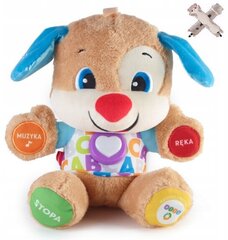 Pehmo Fisher-Price ja pehmotyyny Cat, 50 cm hinta ja tiedot | Vauvan lelut | hobbyhall.fi