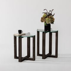 Sivupöytä Asir, 40x50x40cm, musta hinta ja tiedot | Sohvapöydät | hobbyhall.fi