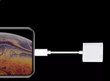 Adapteri Lightning Ethernet Rj45 LAN iPhone iPad Zenwire hinta ja tiedot | Adapterit | hobbyhall.fi