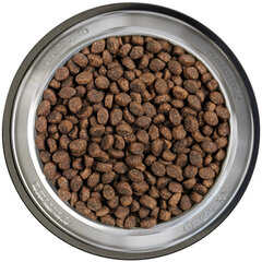 Belcando Puppy Gravy kuivaruoka pennuille 1-4 kk, linnulla, 4 kg hinta ja tiedot | Belcando Koirat | hobbyhall.fi