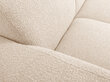 Windsor & Co Lola neljän istuttava divaanisohva, vasen, 250x170x72 cm, beige hinta ja tiedot | Kulmasohvat ja divaanisohvat | hobbyhall.fi