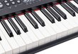 Lasten piano 328-06-mikrofonilla, musta hinta ja tiedot | Kehittävät lelut | hobbyhall.fi