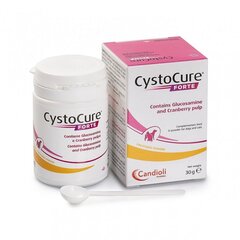 CystoCure FORTE 30g jauhe hinta ja tiedot | Kissan terveys ja hyvinvointi | hobbyhall.fi