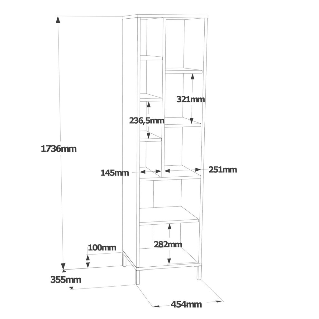 Kaappi Asir, 45x173,6x35,5cm, valkoinen hinta ja tiedot | Kylpyhuonekaapit | hobbyhall.fi