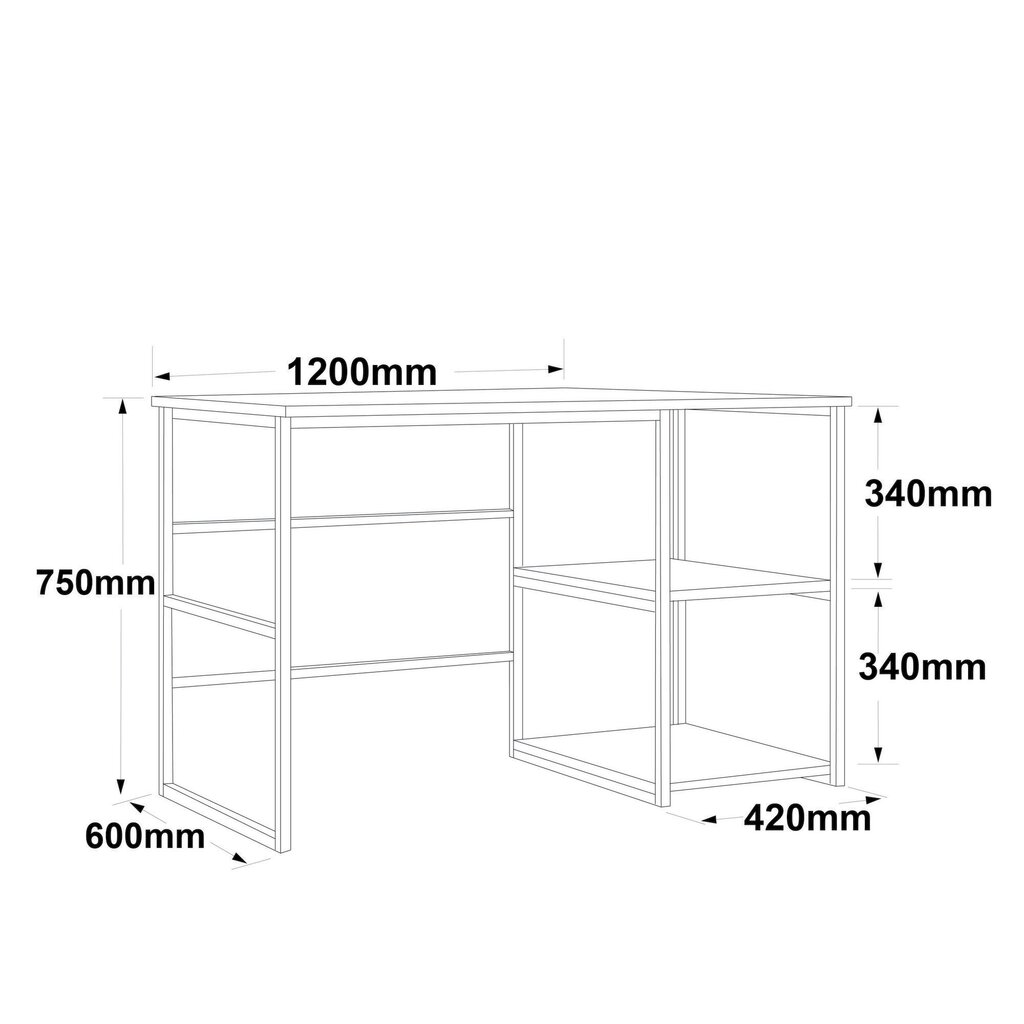 Työpöytä Asir, 120x75x60cm, beige hinta ja tiedot | Tietokonepöydät ja työpöydät | hobbyhall.fi