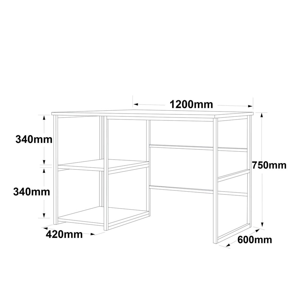 Työpöytä Asir, 120x75x60cm, beige hinta ja tiedot | Tietokonepöydät ja työpöydät | hobbyhall.fi