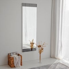 Peili Asir, 40x120x2,2cm, valkoinen hinta ja tiedot | Kylpyhuonepeilit | hobbyhall.fi