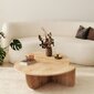 Sohvapöytä Asir, 90x60x30cm, 85x35x30cm, beige hinta ja tiedot | Sohvapöydät | hobbyhall.fi