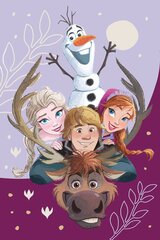 Disney Frozen Family -peitto, 100x150 cm hinta ja tiedot | Päiväpeitot ja huovat | hobbyhall.fi