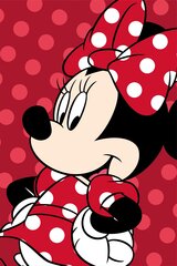 Disney Minnie Red -peitto, 100x150 cm hinta ja tiedot | Päiväpeitot ja huovat | hobbyhall.fi