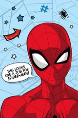 Disney Spiderman Star -peitto, 100x150 cm hinta ja tiedot | Päiväpeitot ja huovat | hobbyhall.fi