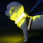 BERIMAX valaiseva kaulus, jopa 70 cm BRM_5904665713150 hinta ja tiedot | Kissan valjaat ja kaulapannat | hobbyhall.fi