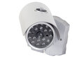 Valvontakamera LED DM2 BERIMAX BRM_5907451304310 hinta ja tiedot | Valvontakamerat | hobbyhall.fi