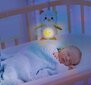 Vauvan lelu Clementoni, Pöllö hinta ja tiedot | Vauvan lelut | hobbyhall.fi