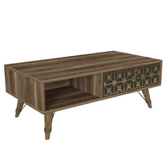 Sohvapöytä Asir, 110x41,6x60cm, ruskea hinta ja tiedot | Sohvapöydät | hobbyhall.fi