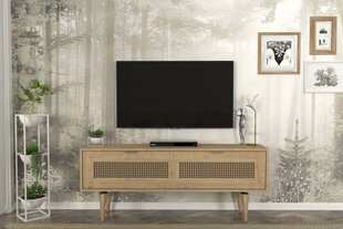 TV-teline Asir, 140x55,2x29,6cm, vaaleanruskea hinta ja tiedot | TV-tasot | hobbyhall.fi