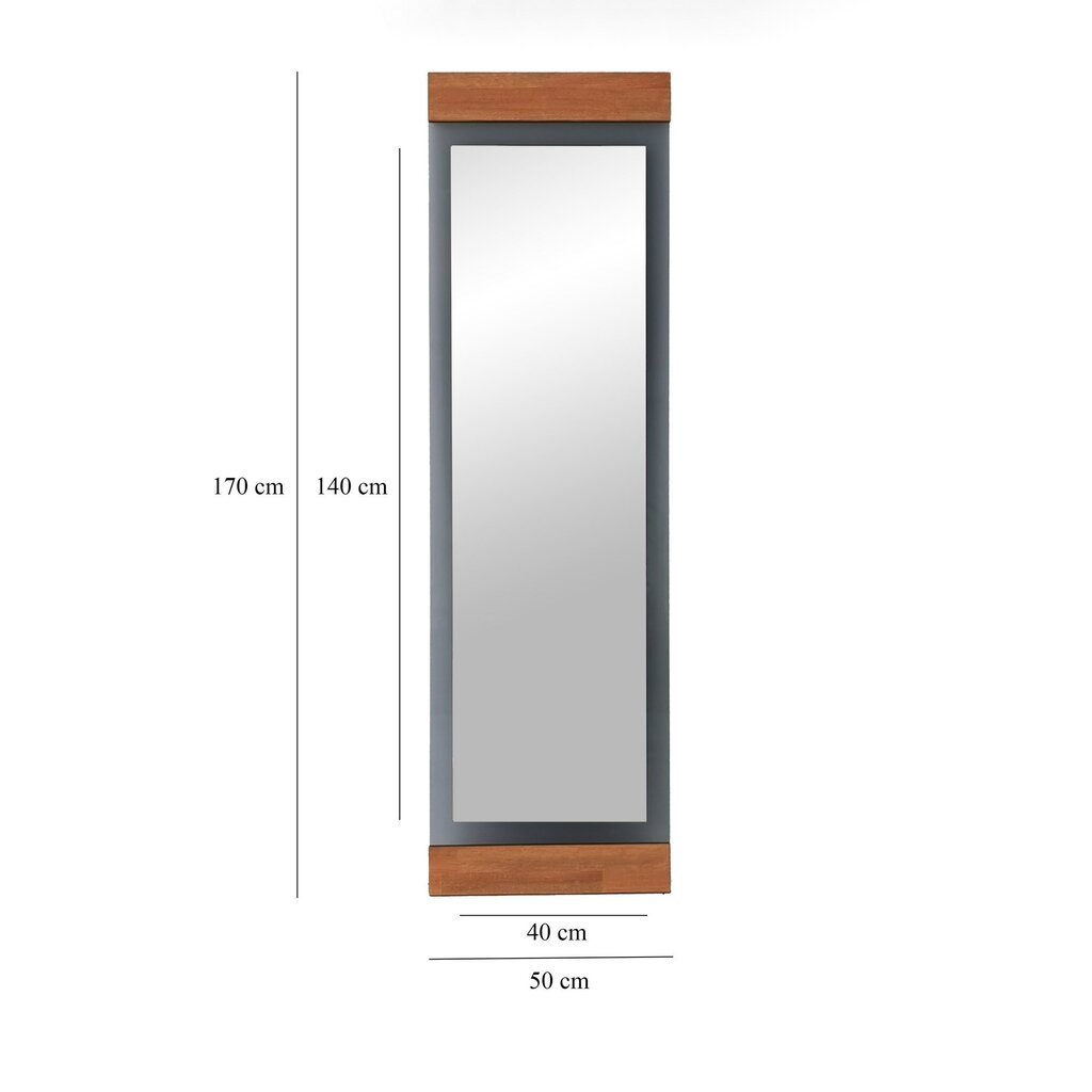 Peili Asir, 50x170x3cm, harmaa/ruskea hinta ja tiedot | Kylpyhuonepeilit | hobbyhall.fi