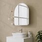 Kylpyhuonekaappi Asir, 12x45x50cm, valkoinen hinta ja tiedot | Kylpyhuonekaapit | hobbyhall.fi