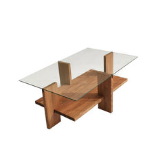 Sohvapöytä Asir, 105x40x60cm, ruskea hinta ja tiedot | Sohvapöydät | hobbyhall.fi