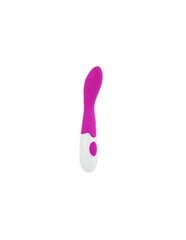 PRETTY LOVE BISHOP VIBRATOR PURPLE hinta ja tiedot | Vibraattorit | hobbyhall.fi