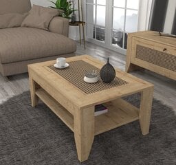 Sohvapöytä Asir, 90x40x60cm, beige hinta ja tiedot | Sohvapöydät | hobbyhall.fi