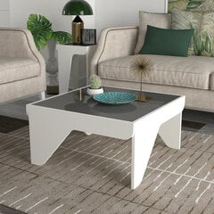 Sohvapöytä Asir, 73,6x38x73,6cm, valkoinen/musta hinta ja tiedot | Sohvapöydät | hobbyhall.fi