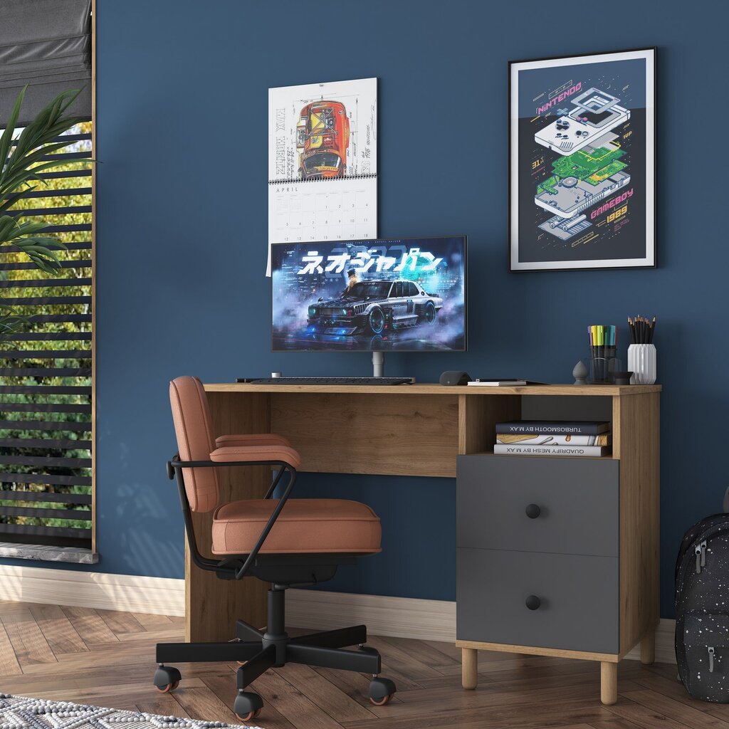 Työpöytä Asir, 120x73,8x50cm, ruskea/musta hinta ja tiedot | Tietokonepöydät ja työpöydät | hobbyhall.fi