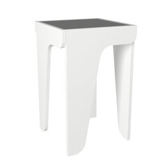 Sivupöytä Asir, 36,8x58x36,8cm, valkoinen/musta hinta ja tiedot | Sohvapöydät | hobbyhall.fi