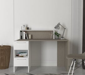 Työpöytä Asir, 126,8x73,8x60cm, valkoinen/harmaa hinta ja tiedot | Tietokonepöydät ja työpöydät | hobbyhall.fi