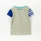 Lasten T-paita DESIGUAL lyhyillä hihoilla TS_ZAFIRO - 52T39A5 / 2052 hinta ja tiedot | Vauvan T-paidat | hobbyhall.fi