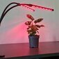 Kasvinviljelylamppu BERIMAX 40 LED hinta ja tiedot | Sisäpuutarhat ja kasvilamput | hobbyhall.fi
