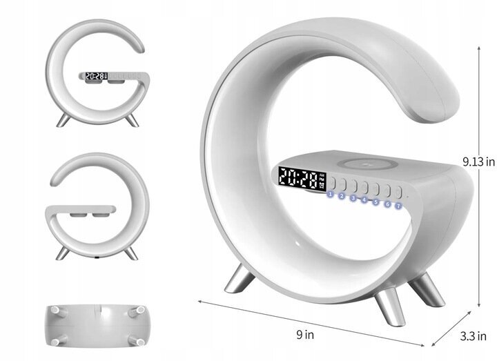 Kannettava kaiutin 10 W, New Line hinta ja tiedot | Kaiuttimet | hobbyhall.fi