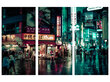 Triptyykki Tokyo street, 150 x 100 cm, Wolf Kult hinta ja tiedot | Taulut | hobbyhall.fi
