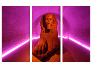 Triptyykki Sfinksi, 150 x 100 cm, Wolf Kult hinta ja tiedot | Taulut | hobbyhall.fi