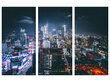 Triptyykki Los Angeles, 150 x 100 cm, Wolf Kult hinta ja tiedot | Taulut | hobbyhall.fi