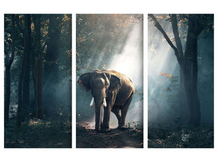 Triptyykki Elefantti, 150 x 100 cm, Wolf Kult hinta ja tiedot | Taulut | hobbyhall.fi