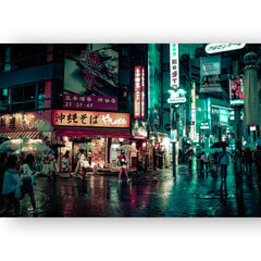 Maalaus Tokyo street, 100 x 70 cm, Wolf Kult hinta ja tiedot | Taulut | hobbyhall.fi